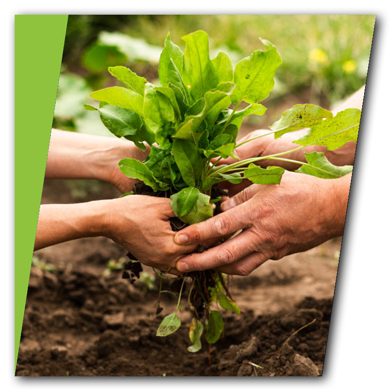 estudios ambientales-4